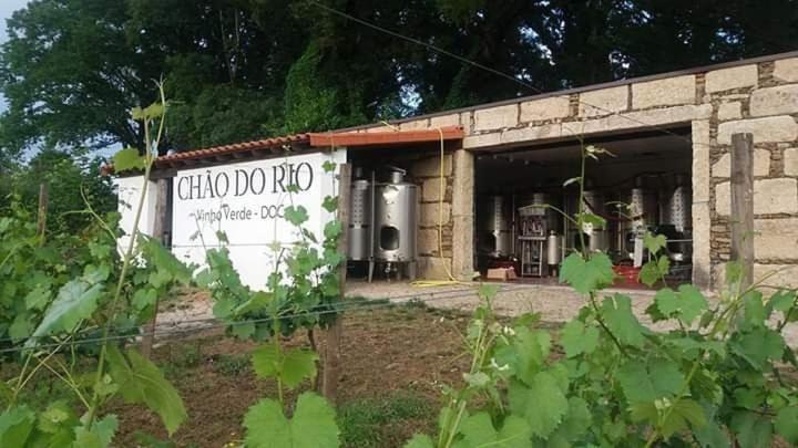 Quinta Da Chouza Agroturismo E Enoturismo Celorico De Basto Exterior photo