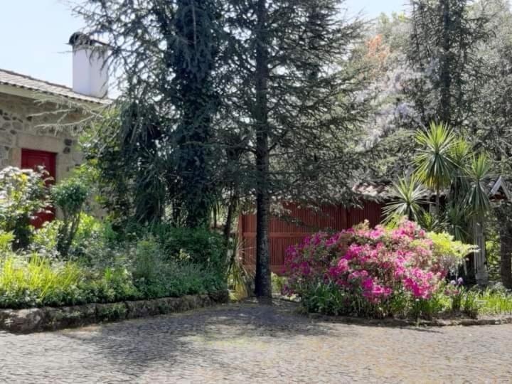 Quinta Da Chouza Agroturismo E Enoturismo Celorico De Basto Exterior photo