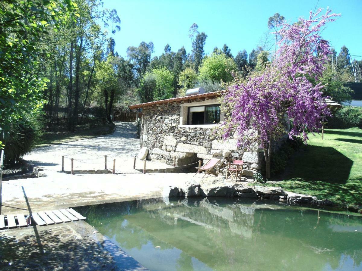 Quinta Da Chouza Agroturismo E Enoturismo Celorico De Basto Exterior photo