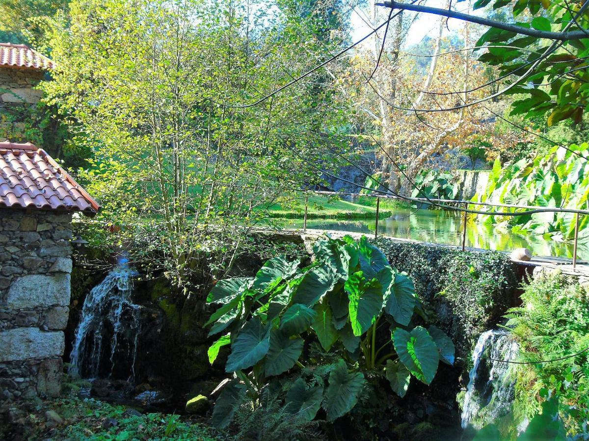 Quinta Da Chouza Agroturismo E Enoturismo Celorico De Basto Exterior photo